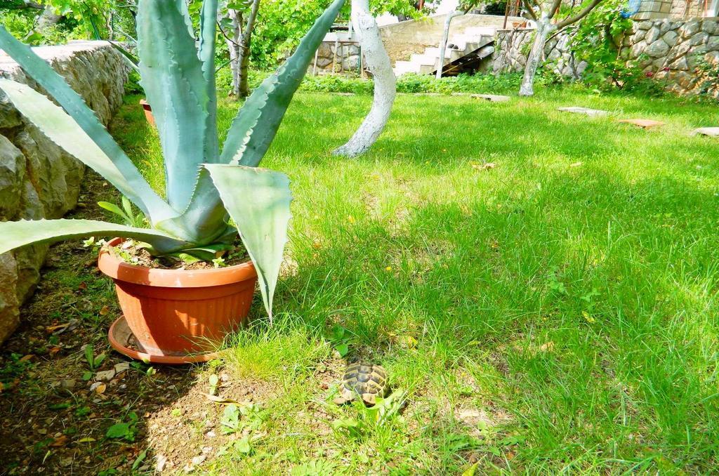 Apartments Ivanka セニ エクステリア 写真